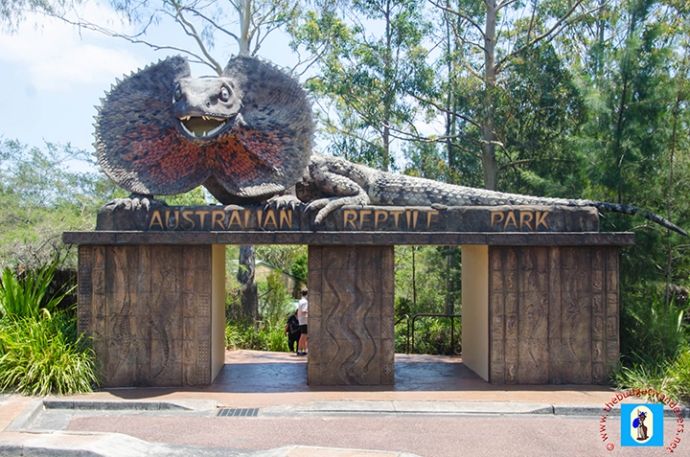 在悉尼 (Sydney) 附近的澳大利亚爬行动物园和野生动物保护区，邂逅澳大利亚最友好和最致命的生物。包括鳄鱼、蛇和蜘蛛。您还可以欣赏爬行动物、考拉、袋獾和蜘蛛的表演。