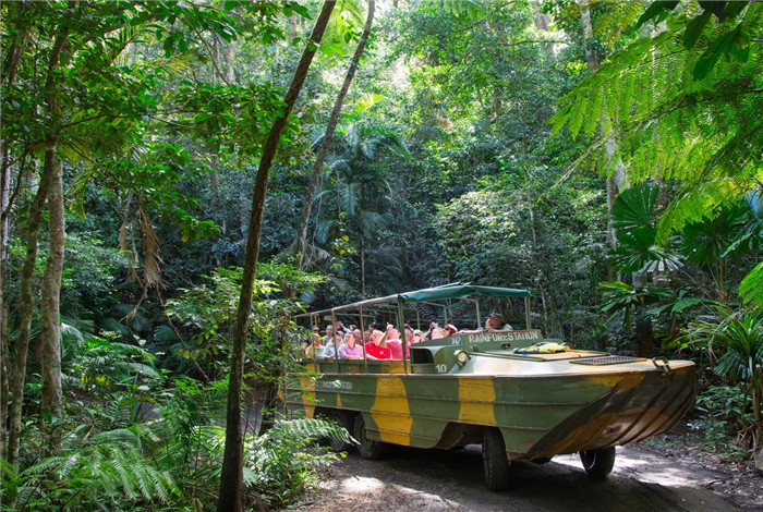 坐独有的水陆两栖车(Army Duck) 穿梭热带雨林和热带水果园