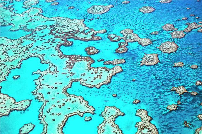 哈迪大堡礁(Hardy Reef)是位于澳大利亚圣灵群岛著名的大堡礁群，这里因心形礁石而闻名遐迩，哈迪大堡礁也被澳洲旅行者杂志评为澳洲最美的100个风景-2012的第一名，非常值得一去。