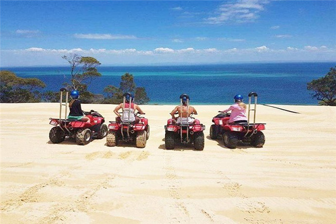 澳大利亚布里斯班海豚岛1日游·天阁露玛海豚岛+喂食野生海豚+四驱车滑沙+迷你高尔夫