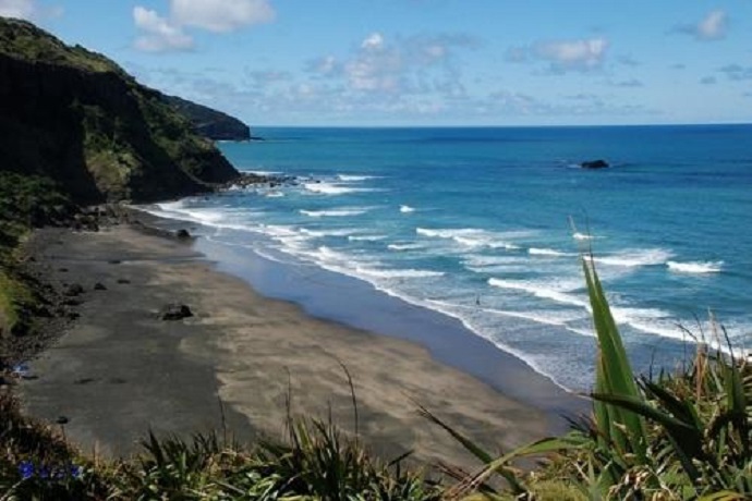 新西兰鸟岛+西泉1日包车游•黑沙滩Muriwai海滩+观赏塘鹅聚居地+索金酒庄+西泉湖