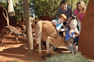 澳大利亚布里斯班+黄金海岸+凯恩斯+阿德莱德+墨尔本+悉尼天12晚·【高尔夫团】中文司机兼导游+4星级住宿+澳洲境内机票+纯玩+直销+赠送澳洲电话卡+欢迎咨询